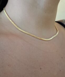 WhatsApp Image 2026-03-25 at 16.43.26